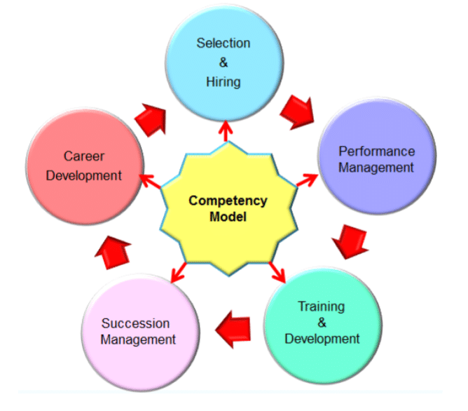 Executive Consulting and Coaching competency-Modeling